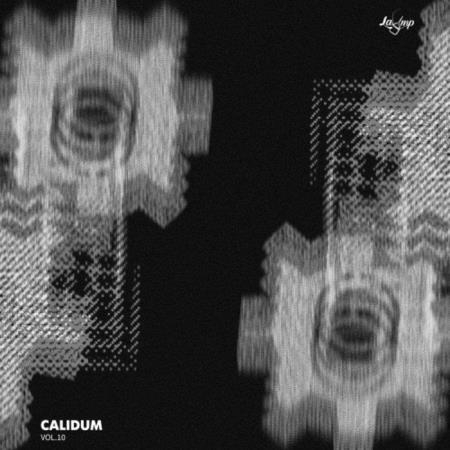 Calidum Vol 10 (2019)