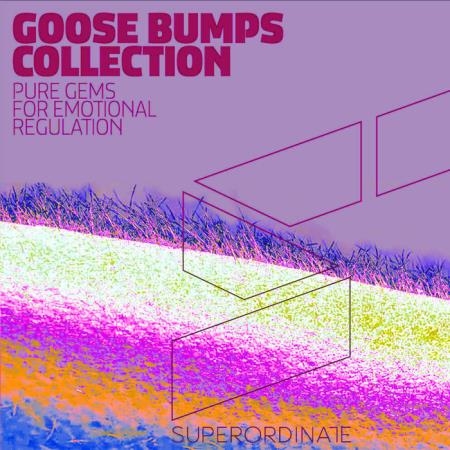 Goose Bumps Collection, Vol. 5 (2020)