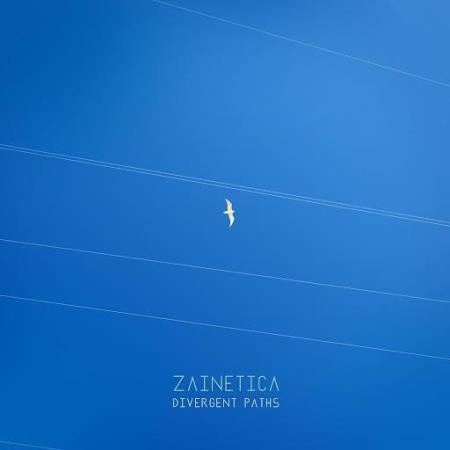 Zainetica - Divergent Paths (2020)
