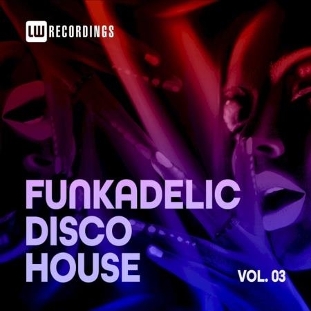 Funkadelic Disco House 03 (2020)