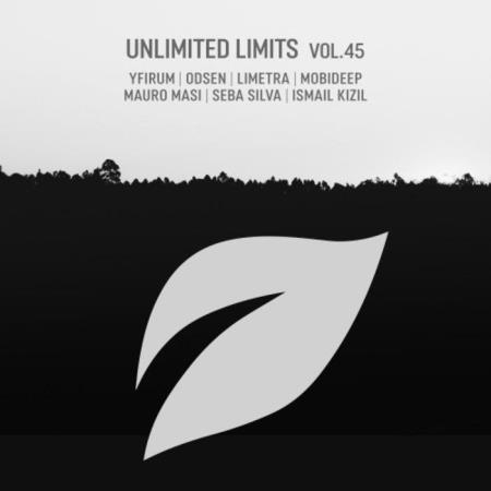 Unlimited Limits, Vol. 45 (2021)