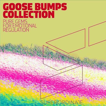 Goose Bumps Collection, Vol. 5 (2021)