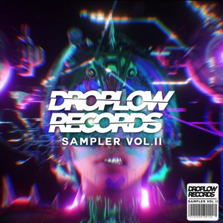 Droplow Records Sampler, Vol. 2 (2021)