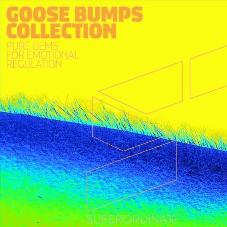 Goose Bumps Collection, Vol. 6 (2021)