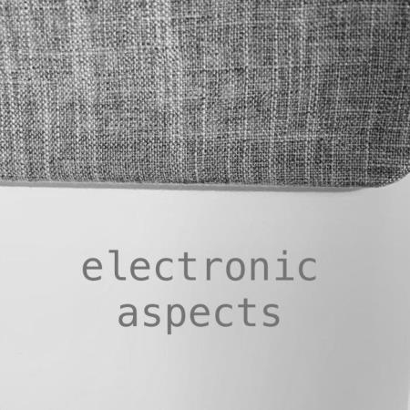 Electronic Aspects XVIII (2021)