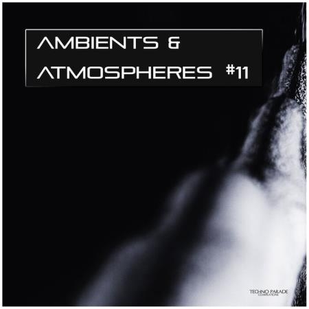 Ambients & Atmospheres, Vol 11 (2021)