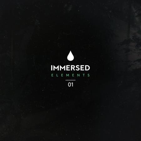 Immersed Elements 01 (2021)