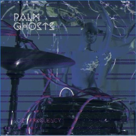 Palm Ghosts - The Lost Frequency (2021)
