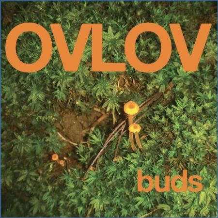 Ovlov - Buds (2021)