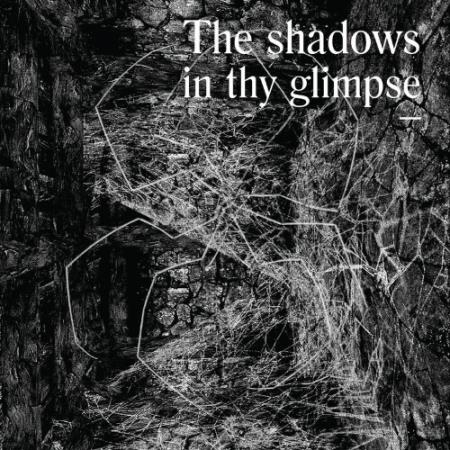The Shadows In Thy Glimpse: Bedouin Records Selected Discography 2016-2018 (2021)