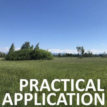 Chili Beats - Practical Application (2022)