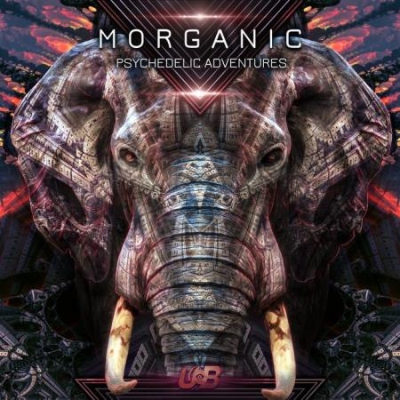 Morganic - Psychedelic Adventures (2022)