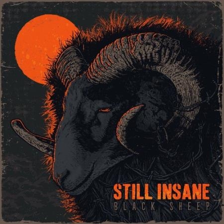 Still Insane - Black Sheep (2022)