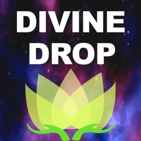 Divine Drop - Fluctuation (2022)