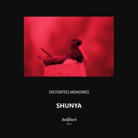 Distorted Memories - Shunya (2022)