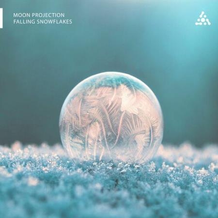 Moon Projection - Falling Snowflakes (2022)