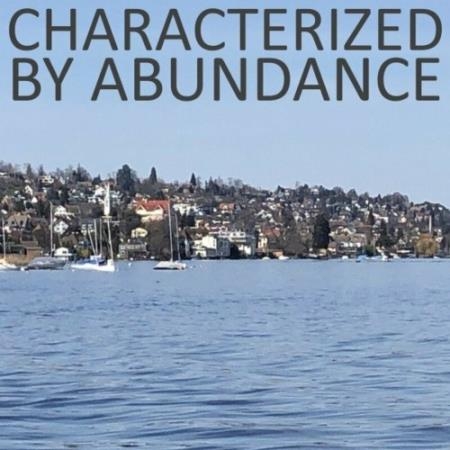 Characterized by Abundance (2022)
