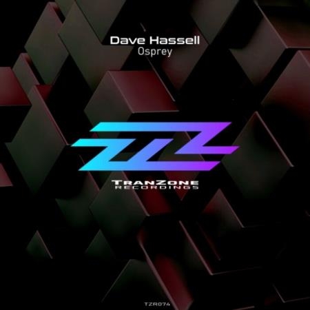 Dave Hassell - Osprey (2022)