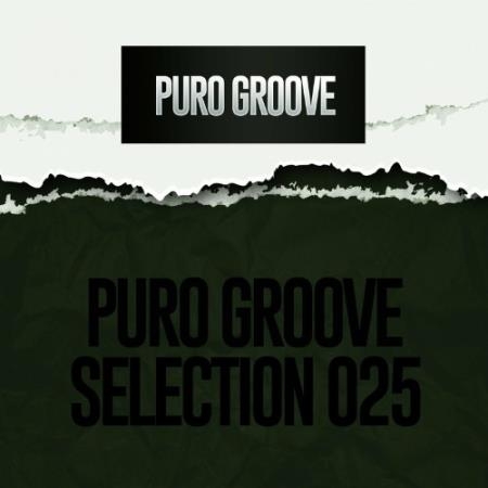 PURO GROOVE SELECTION 025 (2022)