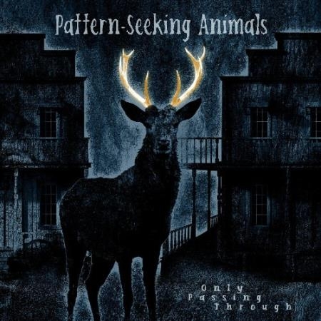 Pattern-Seeking Animals - Only Passing Through (Bonus Track Edition) (2022)