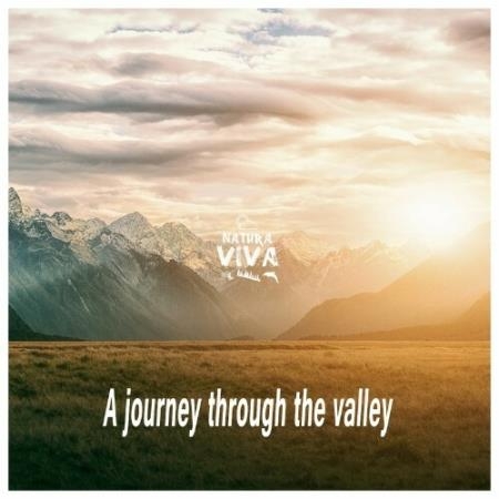 A Journey Through the Valley (2022)