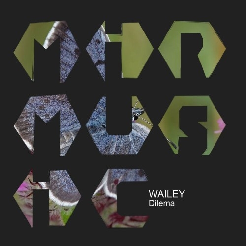 Wailey - Dilema (2022)